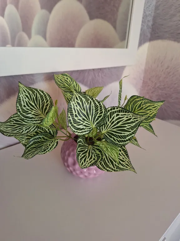 Двушка в центре возле кремля, Софийского собора и Ярослва Дворище