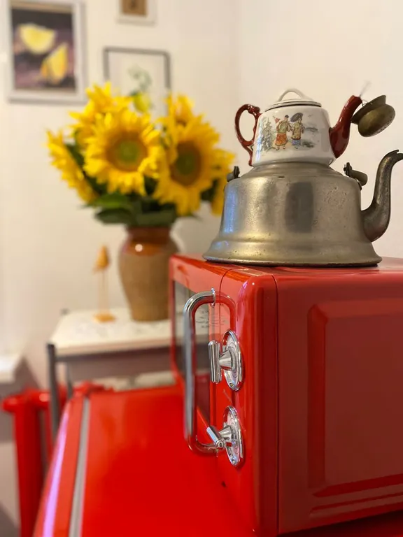 Уютная квартира Самоварчик в центре города — аренда посуточно в Тула