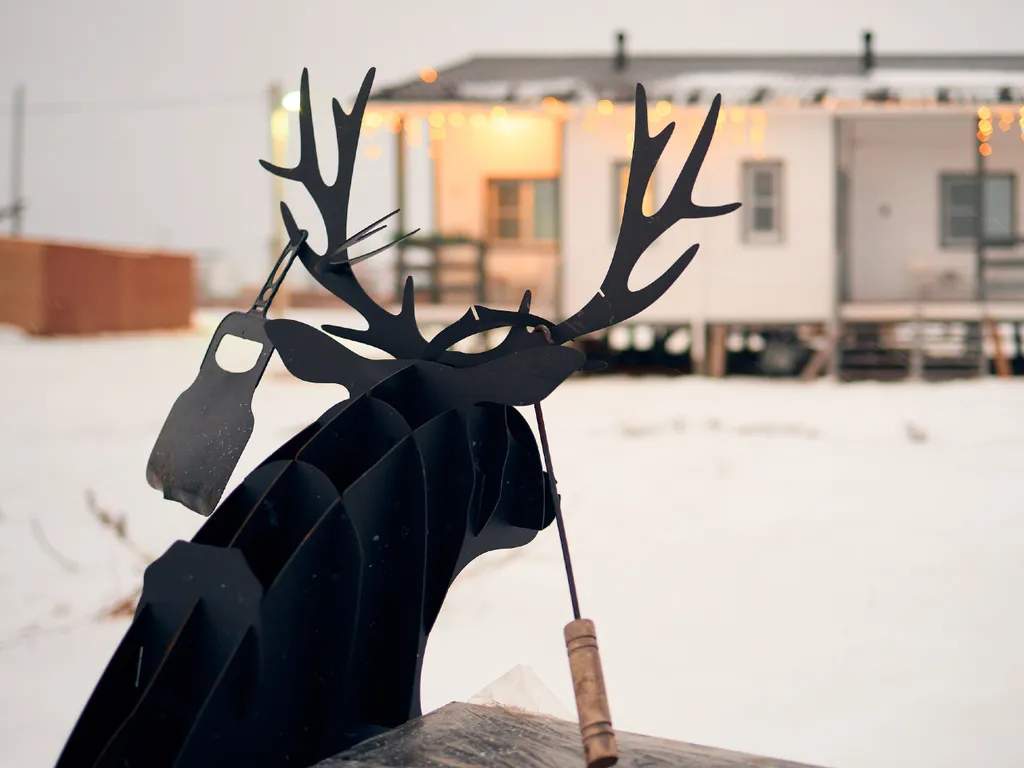 3- х комнатный таунхаус на люпиновом поле