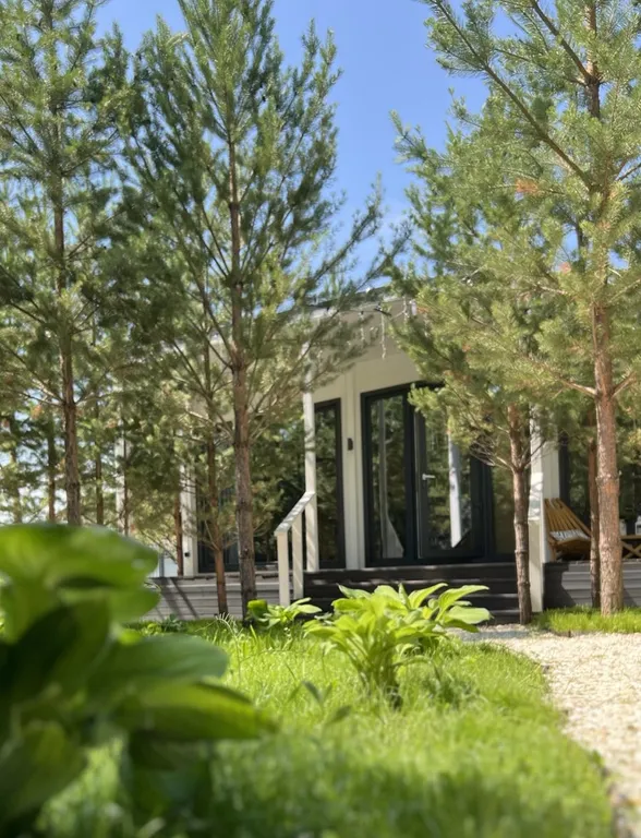 Домик, чан, баня в сосновом лесу, закрытая территория