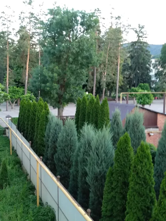 Квартира Квартира Уютная двушка на аллее 1000 сосен у санаториев — Горячий Ключ