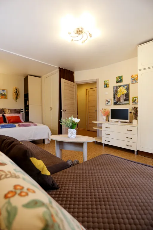 Квартира Уютная светлая квартира в центре — Пушкин