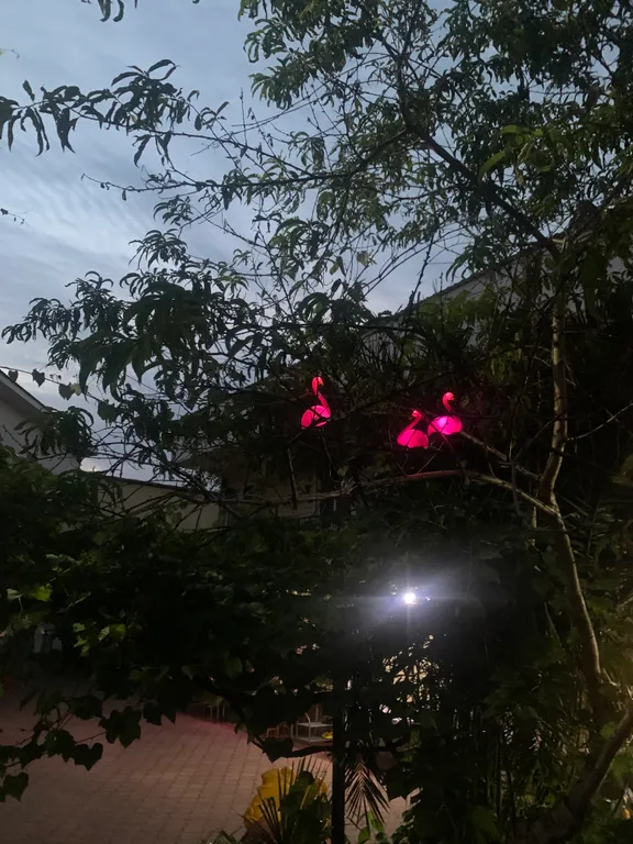 Квартира Комната — Адлер