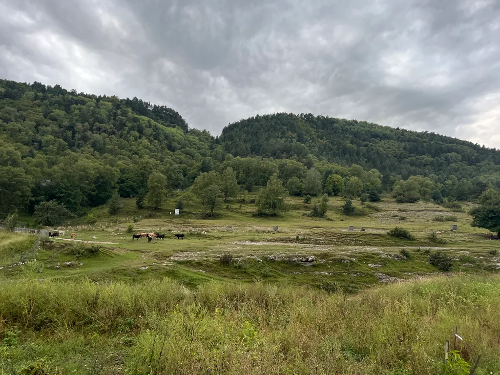 Коттедж Домик в лесу — аренда посуточно в Гуниб