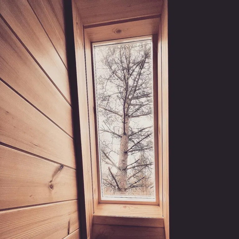 Дом-шале в окружении сосен + зона барбекю с костровой чашей и мангалом