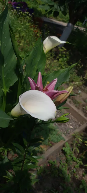 Дом, все в нем!