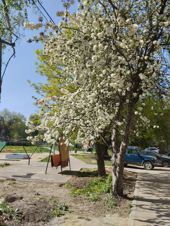 Квартира в стиле СССР