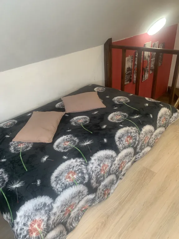 Коттедж в центре с баней и банным чаном