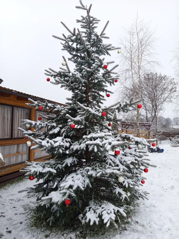 Дом мечты прямо у Минска усадьба Гринкевичи с баней, купелью и Wi-Fi