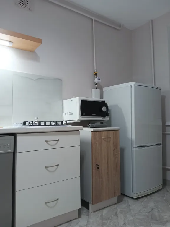 Уютная квартира Белый Слоник в историческом центре города