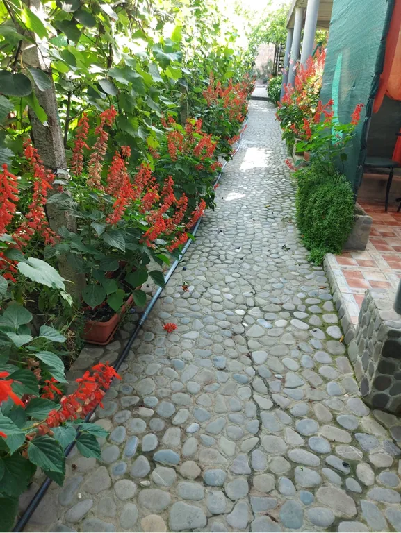 Коттедж с тапчаном