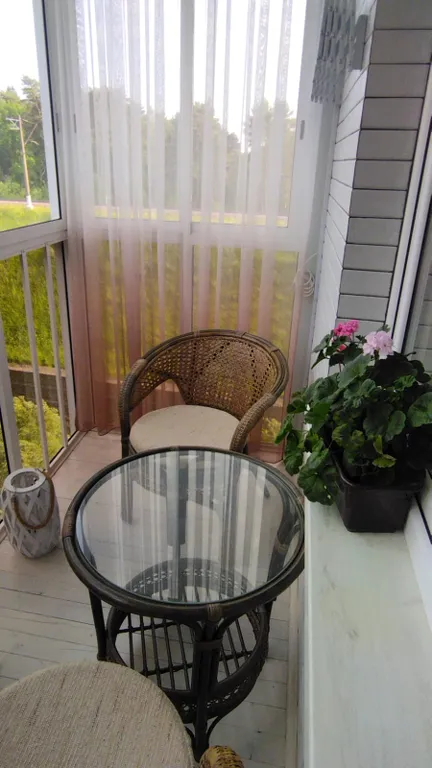 Уютная студия с шикарным видом на сосновый бор