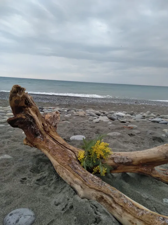 Квартира Отдых у моря — Нижняя Хобза