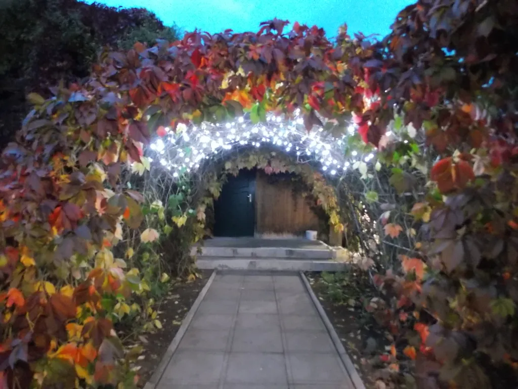 Дом с русской баней