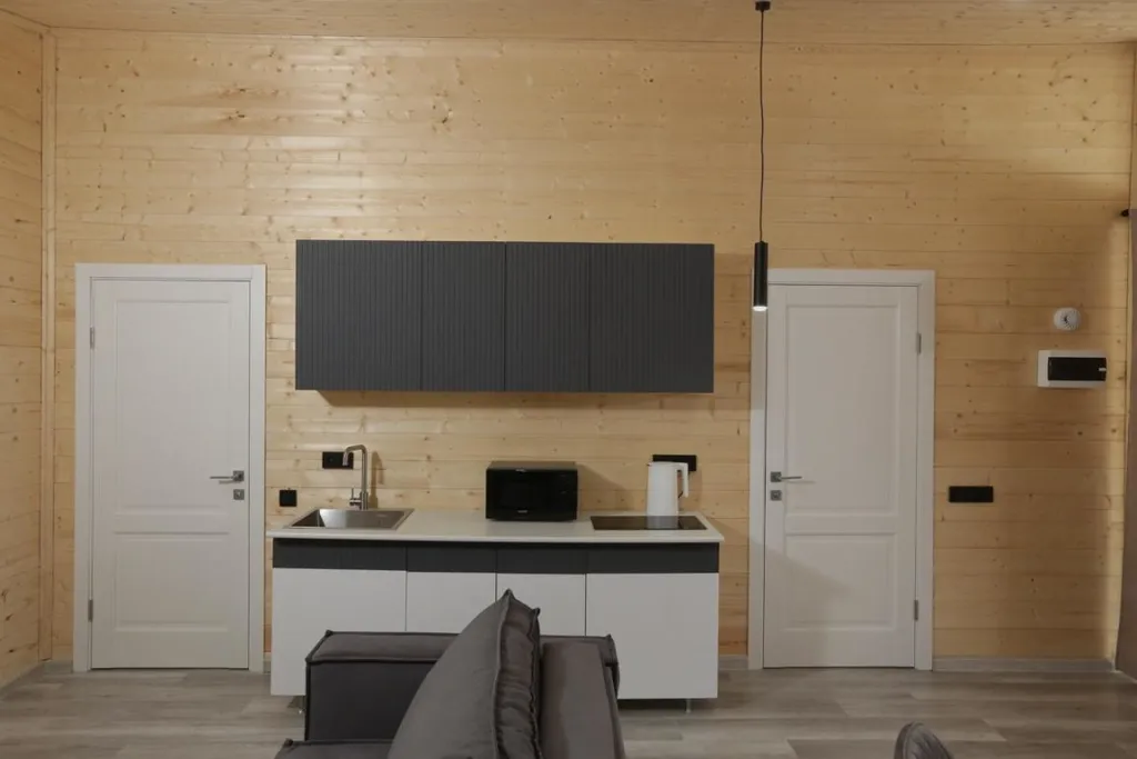 Дом O'Pushka space в березовом лесу