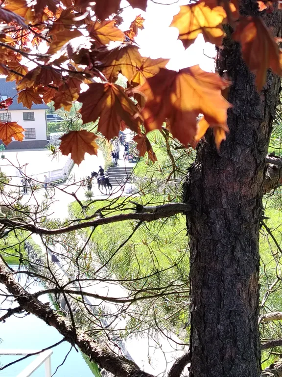 Уединенная часть дома с садом и барбекю