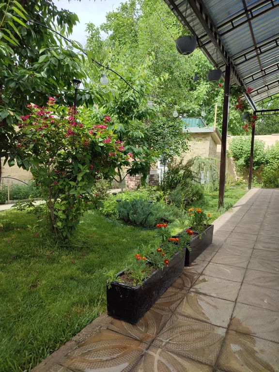 Чистая и аккуратная семейная дача