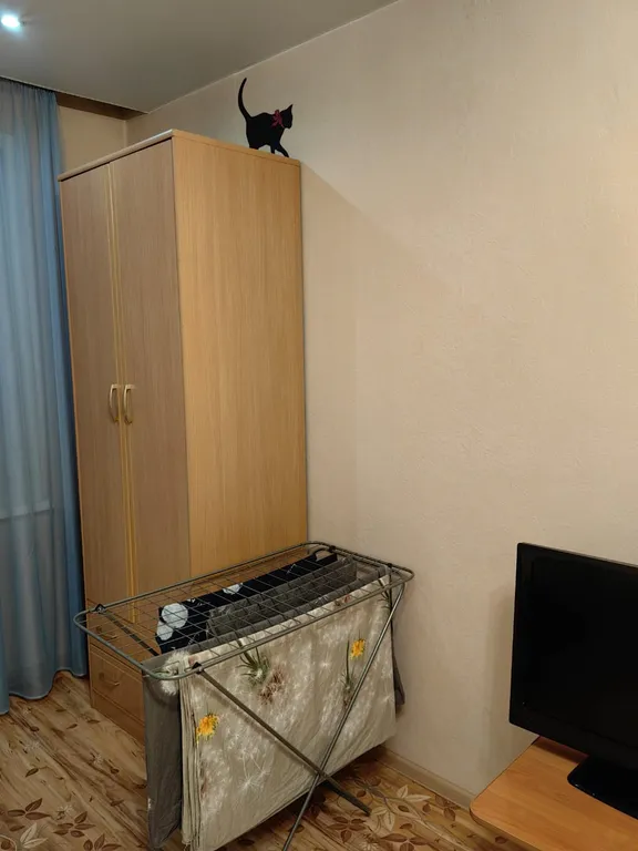 Квартира в новостройке