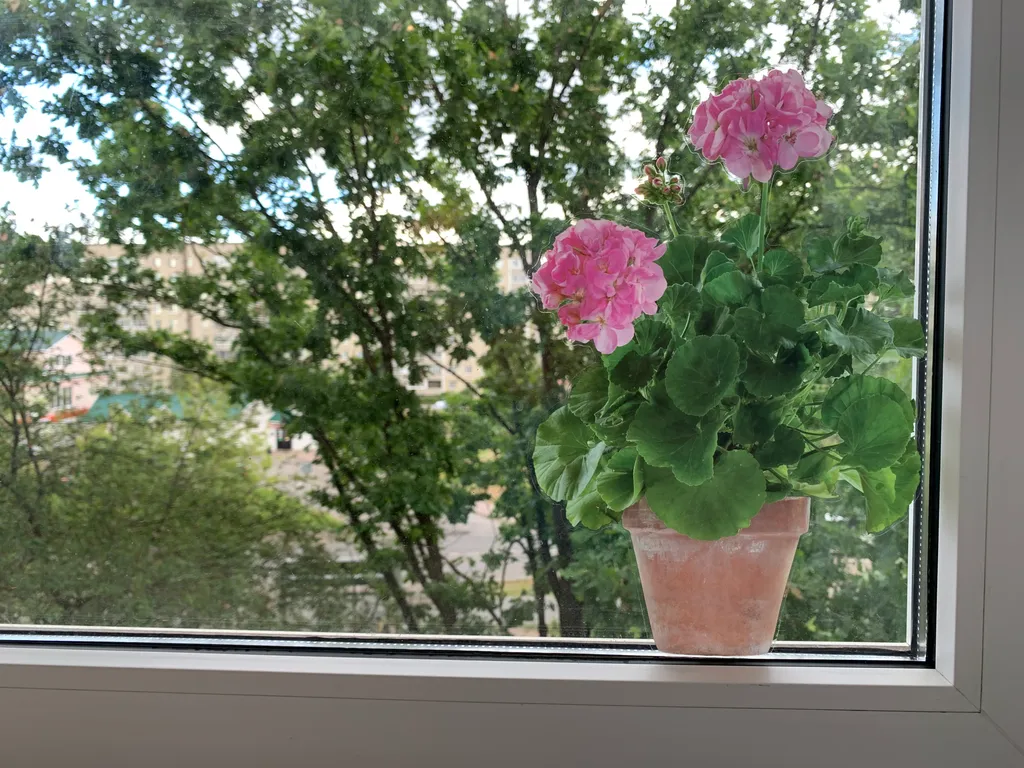 Newstory Apartment 1