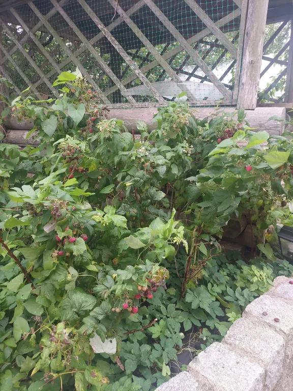 Дом на 10 человек.