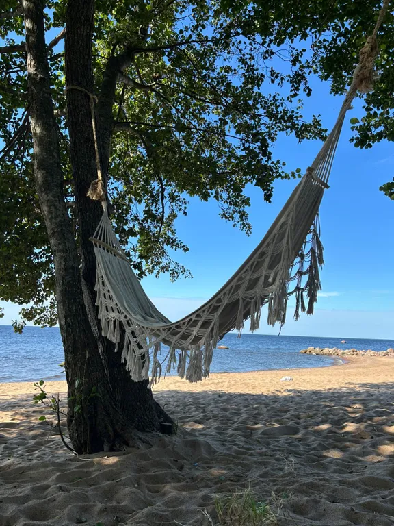 Уютный новый дом в сосновом лесу на берегу Финского залива