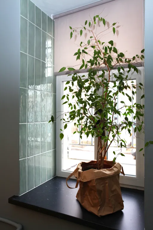 Medium Studio Inspired by Botanica Art Aparts