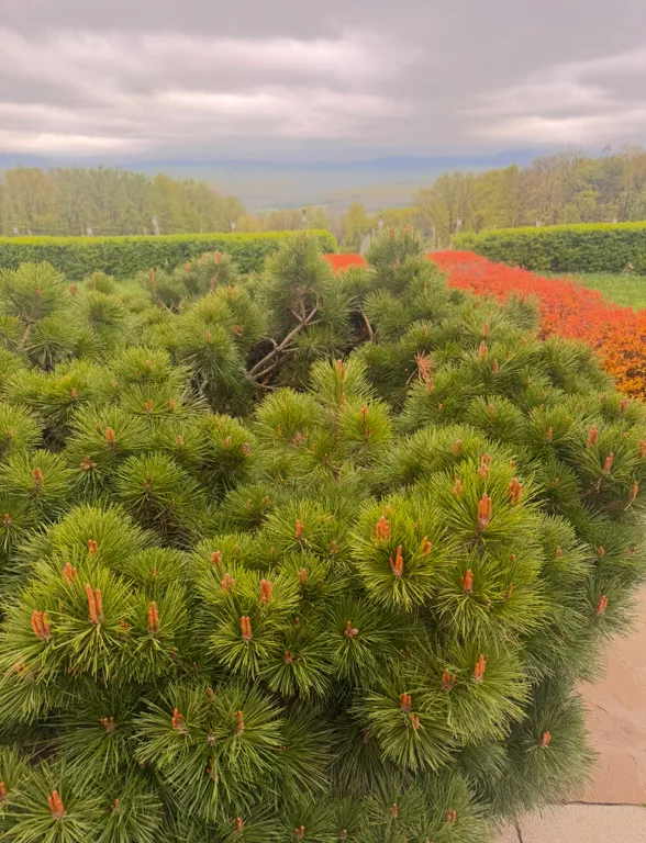 Коттедж Домик в предгорье со всеми удобствами — Краснодар