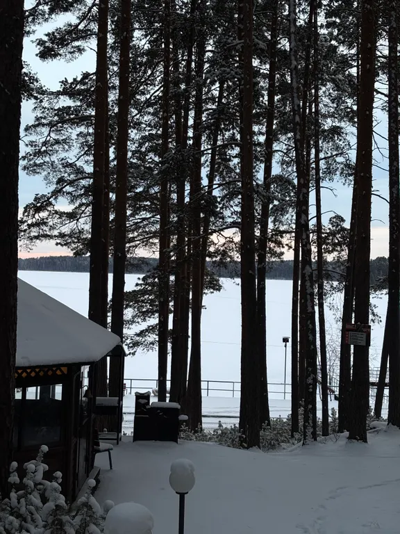 Двухкомнатная квартира на берегу озера Большой Еланчик