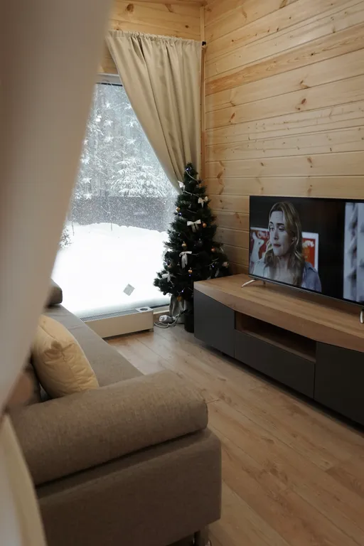 Лесной сканди домик