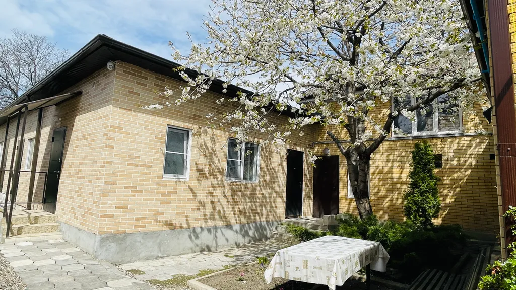 Новая квартира в центре города