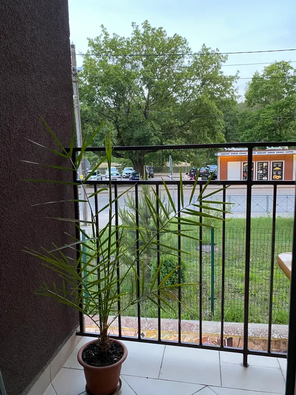 Квартира Апартаменты с видом на озеро — Светлогорск