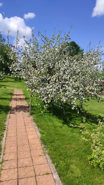 Гостевой дом Подлипки