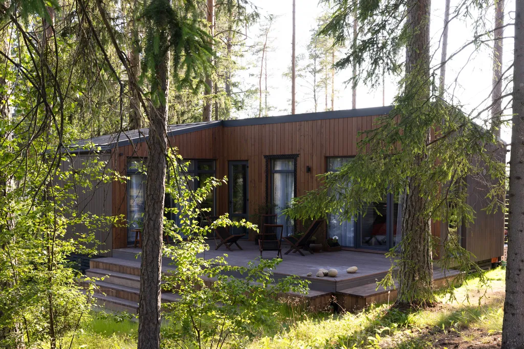 Дом в современном русском стиле в сосновом лесу