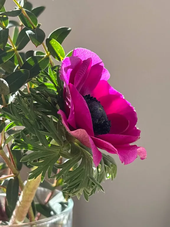 Квартира Уютная квартира рядом с Таврическим садом и Смольным собором — Санкт-Петербург