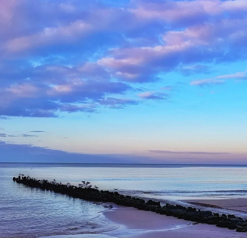 Квартира Уютная квартира в тихом центре города — Пионерский