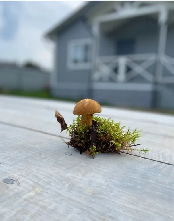 Коттедж Супер дом на Вуоксе с камином и баней — Четверяково