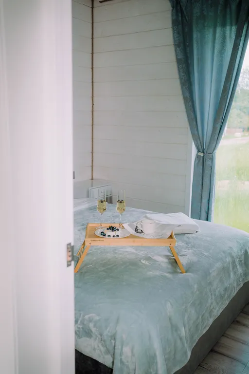 Загородный дом Парус с оленями