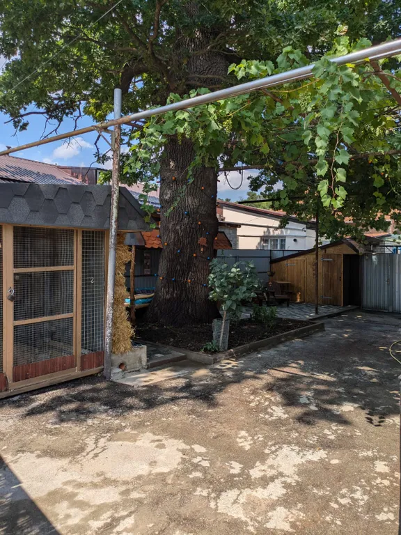 Под сенью дуба