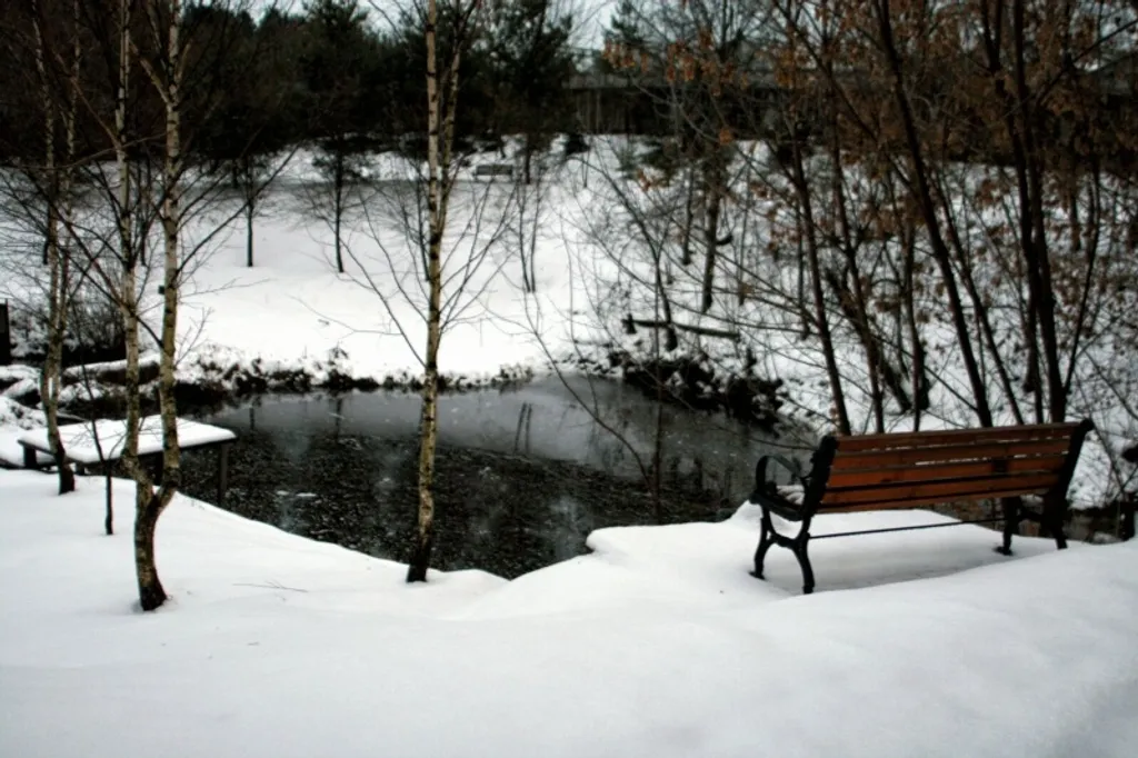 Дом для отдыха и мероприятий Баковка Хаус