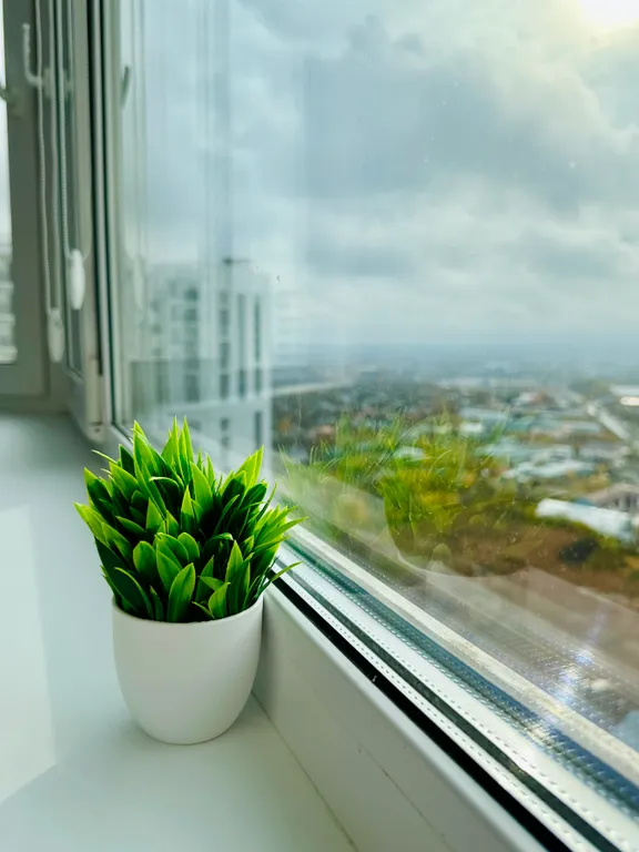 Новая студия на Московском