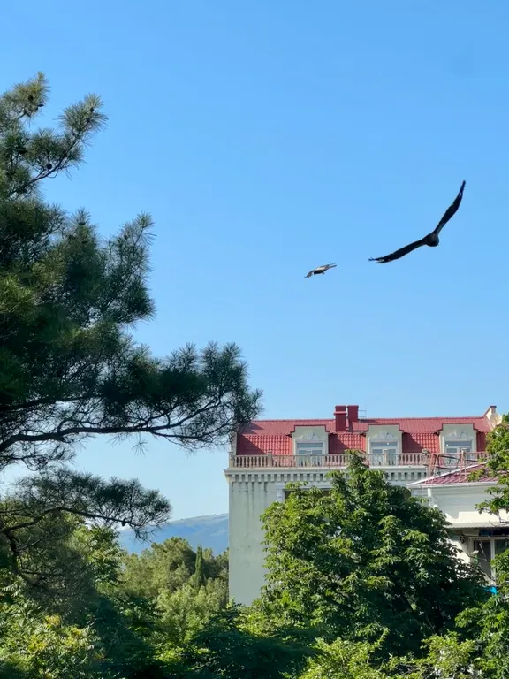 Квартира Уютная 2-комнатная квартира рядом с лучшими пляжами — Геленджик