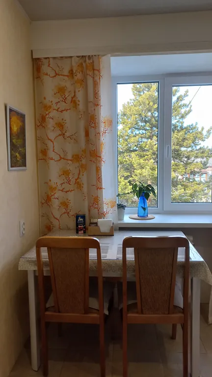 Квартира с видом на гору Красивый Курган