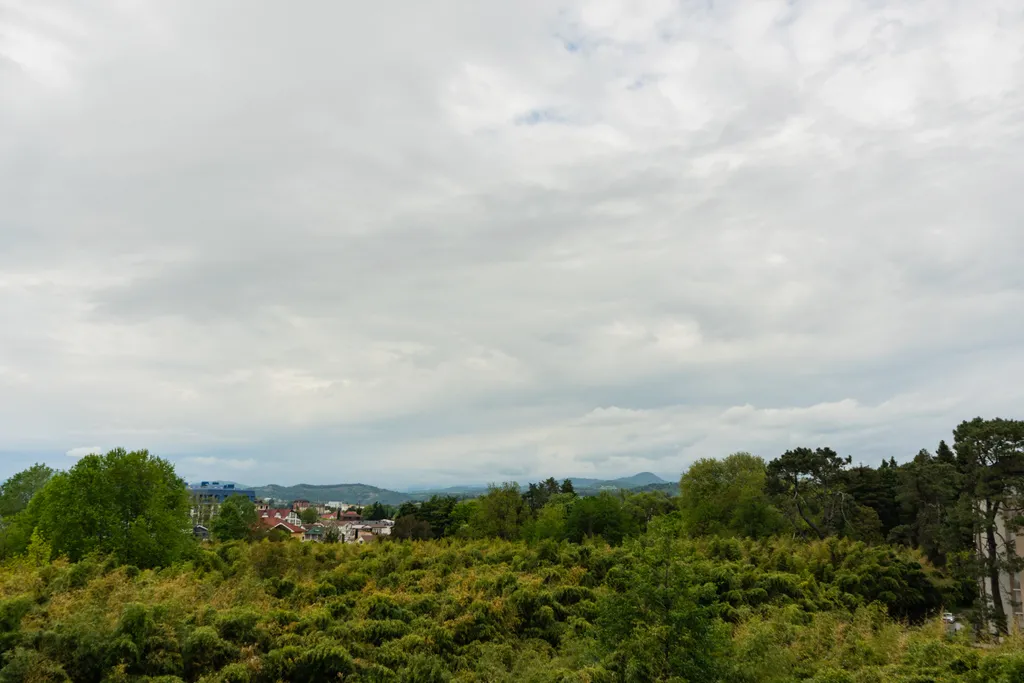 Апартаменты с видом на горы и бамбуковую рощу