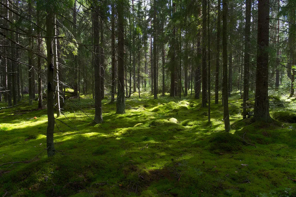 Отдельный коттедж