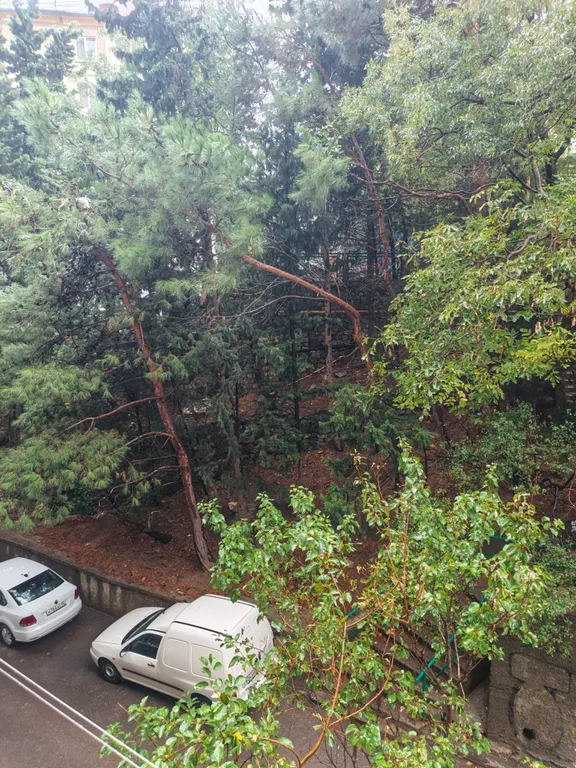 Квартира в центре города