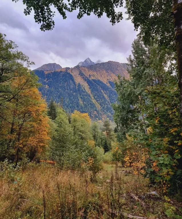 База отдыха Архыз Форест Эко