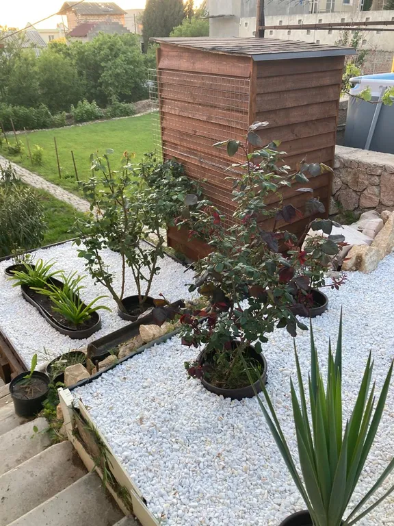 Сруб у моря