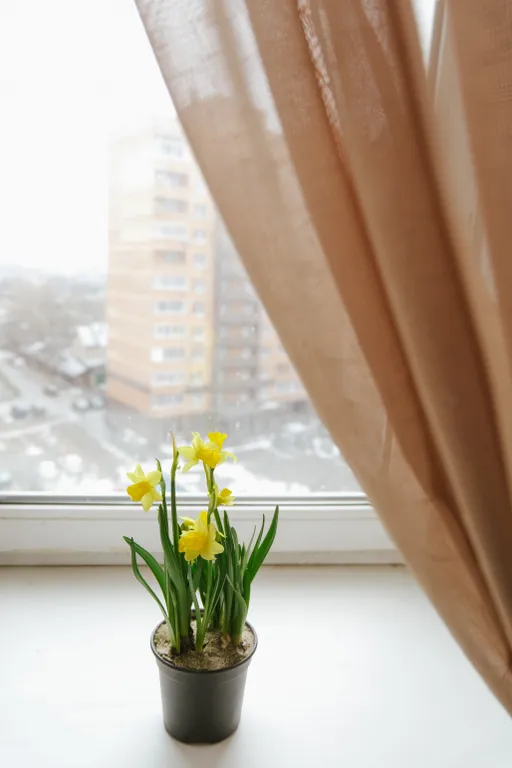 Квартира в тихом районе