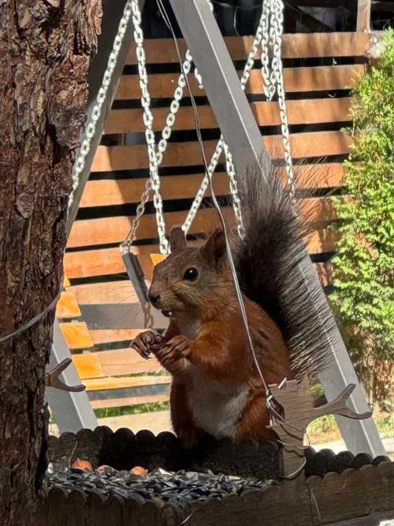 Коттедж 2-комнатный Дом — Архыз