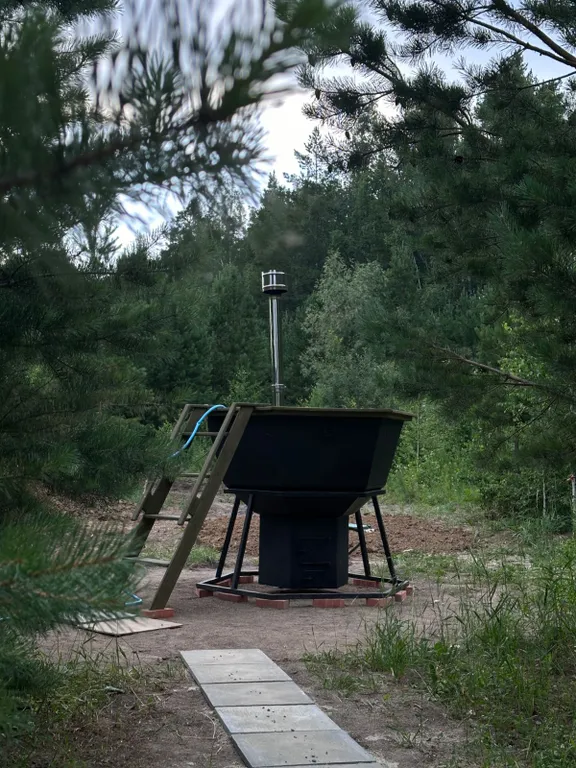 Темный домик на опушке леса